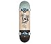 GLOBE Skateboards Evil Paradise Street Complete Skateboard, Palm Eyes, 8.25FU