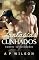 Livro Fantasias com Cunhados: Contos Selecionados (Contos Gays com Cunhados Livro 12)