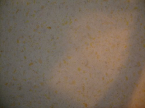 6' X 9' Carpenter Memory Foam with built-in DuPont Stain Protection Rug Pad