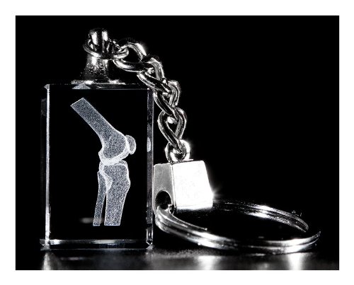 Knee Joint 3d Laser Key Chain Crystal, Anatomy, Bone, Physical Therapy Sports