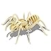 Bfun Woodcraft 3D Puzzle Assemble and Paint DIY Toy Kit, Spider