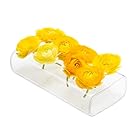 Chive - Hudson 8" Rectangular Unique Glass Flower Vase, Elegant Low Laying Clear Glass Bud Vase with 8 Holes for flowers