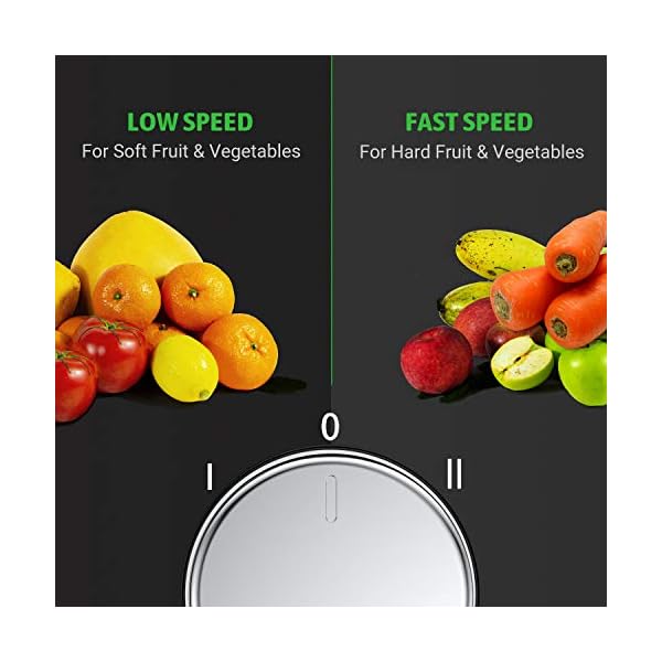 EASEHOLD 1000W Juicer Centrifugal Professional Juice Maker Machine Fruit Vegetable Extractor Whole