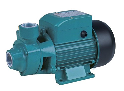 Electric Centrifugal Peripheral Power Clear Water Pump 1 Hp QB80 ...