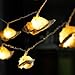 IMPRESS LIFE Natural LED String Lights, Ocean Real Conch Beach Themed Christmas Flexible Battery-powered 10 ft 10 LEDs for Indoor, Outdoor, Birthday, Wedding, Summer Holiday, Parties & Home Decorating
