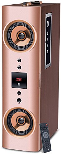 iball karaoke speaker