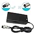 24V 2A Female Electric Scooter Battery Charger Compatible with Razor E100 E125 E150 E200 E300 E325S E500 E175 E225 MX350 PR200 CC2420 for Ground Force,Pocket Mod Sports Mod,Pocket Rocket, Sunl Scooter