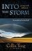 Into the Storm: Journeys with Alzheimer's by 