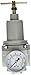 PneumaticPlus SAR4000T-N04BG Air Pressure Regulator T-Handle 1/2
