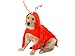 Casual Canine Lobster Paws Dog Costume, X-Large (fits lengths up to 24