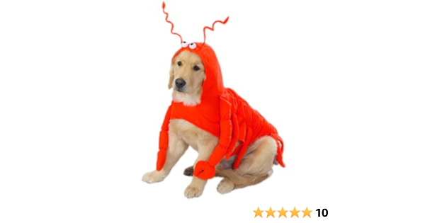 pet hates toys amazon