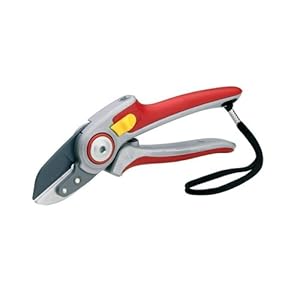 Top 10 Best Secateurs Garden Tip For Beginer