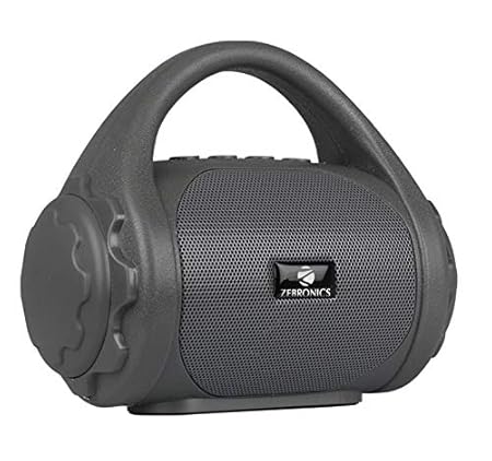 Zebronics Zeb-County Bluetooth Speaker with Built-in FM Radio, Aux Input and Call Function (Grey 