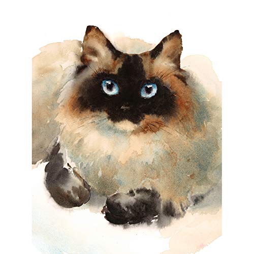 Wee Blue Coo Cat Ragdoll Face Watercolour Art Print Canvas Premium Wall Decor Poster