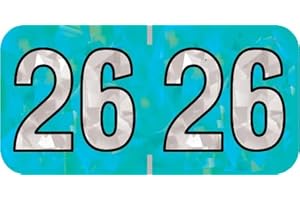 2026 Year Stickers, Doctor Stuff 2026 Chart Stickers, Holographic Aqua Colored, USA Made Year Labels for End Tab File Folders, 500 Labels per Roll, 1 Roll, 3/4" x 1-1/2"