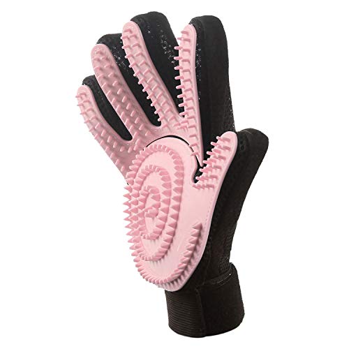 10 Best Pet Grooming Gloves [TOP PICKS & GUIDE] 2024 MrsDoggie