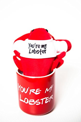 Youre My Lobster Mug and Plush with White Tee Duo, inspired by Friends