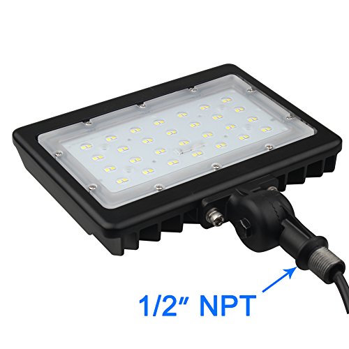 Dephen 50W LED Flood Light, 6500Lm LED Work Lights, IP65 Waterproof 5000K Outdoor Security Lighting, Adjustable Bracket-mount and 1/2'' Knuckle-mount, 175W MH, HPS Bulbs Eq.(UL-Listed)