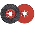 BHA Silicon Carbide Semi-Flexible Masonry and Coating Removal Sanding Disc, 4.5" x 7/8" - 5 Pack (60 Grit)
