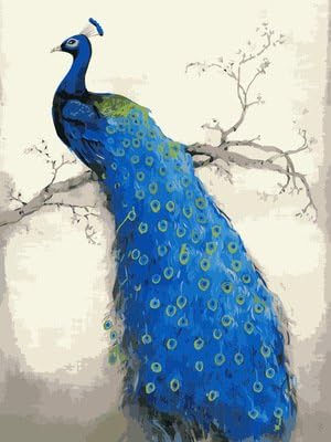 CX-091/Beautiful Peacock Colorful Birds Printed Canvas Picture DIY Digital Oil Paintings By Numbers New Fashion Home Decoration Very easy to paint (No Frame, style-3)