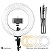 LimoStudio 14-inch Diameter LED Ring Light, Continuous Lighting Kit, 5500K, Good for Beauty Facial Shoot, Light Stand Tripod, Cell Phone Spring Clip Holder, Photo Studio, AGG2028V6