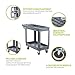 Pearington Utility Rolling Cart- Multi Purpose, Heavy Duty Service Cart; Supplies Storage and Organizer; 2 Tier with Wheels- 500lb Loading Capacity, Gray (2T-29835)