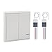 Wsdcam Wireless Light Switch and Receiver Kit Outdoor 1900 ft Indoors 229 ft - Remote Control Ceiling Lamp LED Bulb - No Wires- IP54 Waterproof (Double Switch)