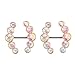 BODYA Nipple Ring Bars Double CZ Crystal Curved Arrow Body Piercing Jewelry Nipplerigns Pair 14G Rose Gold Tone