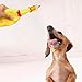 LEGEND SANDY 10 PCS Screaming Chicken, Rubber Chicken Noisemakers for Kids and Pets, Shrilling Shrieking Squawking Chicken Novelty for Gag Gift Party Favors, Rubber Chicken Squeaky Toy for Small Dogs
