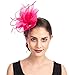 SAFERIN Fascinator for Women Hair Clip Hat Bowler Feather Flower Veil Wedding Party Hat Tea Hat（TA2-Fuchsia）