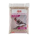 Lyric 2647445 Sunflower Kernels - 5 lb.