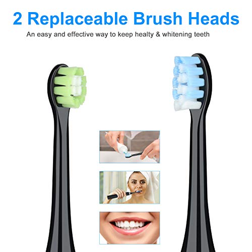 CESTBON Electric Dental Calculus Remover, High Frequency Vibration