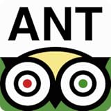 San Antonio City Guide