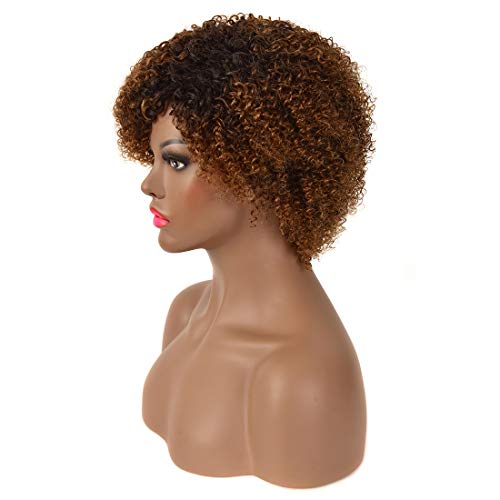MISSJAY Brazilian Human Hair Wigs For Black Women, Short Afro Kinky