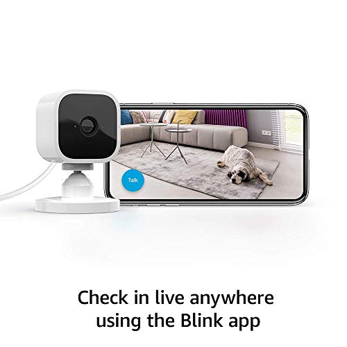 Echo Dot (4th Gen, 2020 release), Charcoal + Blink Mini Camera Pricepulse