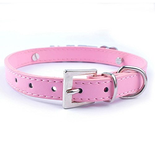 Top 10 Best Dog Collars For Medium Dogs Female Best of 2018 Reviews