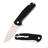 Kizer Cutlery Folding Pocket Knife Flipper Linerlock Black G10 Handles Tactical Knife,Kizer Gemini Ray Laconico V3471A1