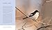 The Mating Lives of Birds (Mit Press)