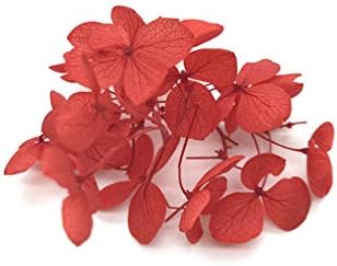 Hothap 1 Box Dry Flower DIY Epoxy Resin Craft Handmade Filler Dried Flowers Time Stone Jewellery Making Desk Decoration Ashtray Pen Holder Multifunctional, red