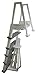 CONFER 6000B Heavy Duty Aboveground In-Pool Swimming Pool Ladder 48