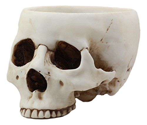 Ebros Gift Day Of The Dead Bone Skull Bowl Figurine 6.75"Long Skeleton Head Gardening Planter Sculptural Vessel Treat Container Decorative Bowl