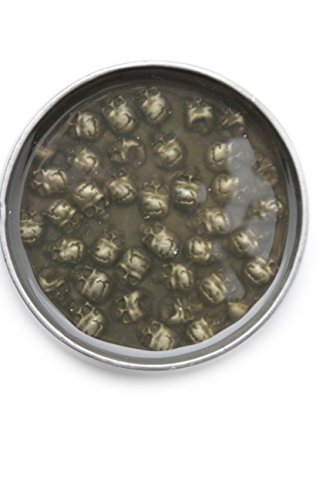 TFJ Men Gothic Belt Buckle Punk Fashion Silver Metal Mini Skulls Skeletons Taupe