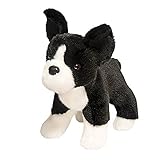 Douglas Myrtle Boston Terrier