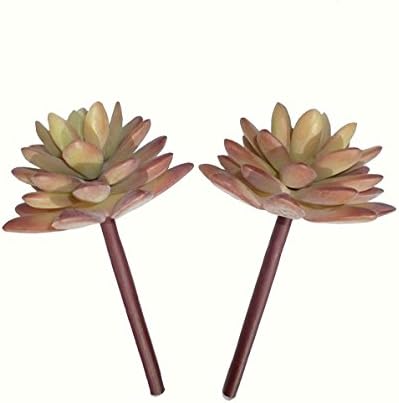 Dect Artificial Succulent Plants 5.5" Pachyveria(2pcs) (Brown)