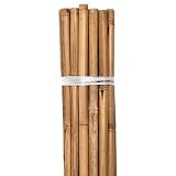 Grower's Edge HGC740760 Natural Bamboo Stakes Bulk (50/Pack), 6 ft