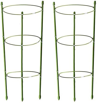 Lobesea Plant Support Ring Garden Trellis Flower stainless Steel Support Climbing Vegtables&Flowers&Fruit Grow Cage with 3 Adjustable Rings 17.5"(2PCS)