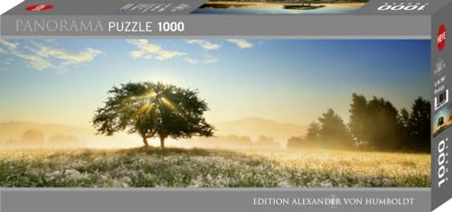 Play of Light: 1000 Teile en promo sur Amazon