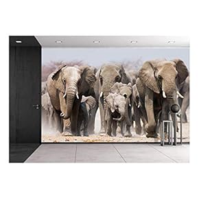 Large Herd of Elephants Approaching Over The Dusty Plains of Etosha - Removable Wall Mural | Self-Adhesive Large Wallpaper - 66x96 inches