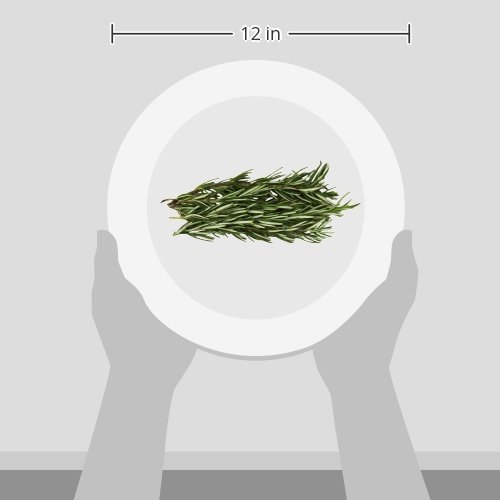 1 Organic+Rosemary+75+oz+Clamshell