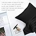 100% Pure Mulberry Silk Pillowcase for Hair and Skin,Both Sides 22 Momme Silk,Both Sides Silk Pillow Case with Hidden Zippe,Hypoallergenic Soft Breathable,1pc
